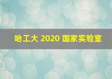 哈工大 2020 国家实验室